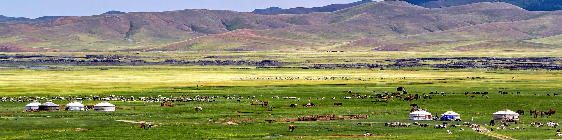 🇨🇳 Inner Mongolia
