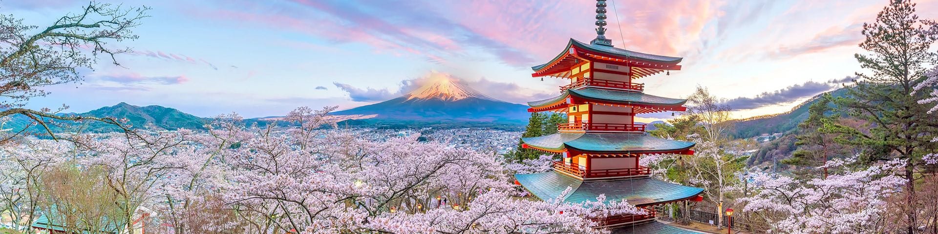 🇯🇵 Japan