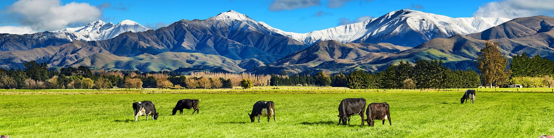 🇳🇿 New Zealand