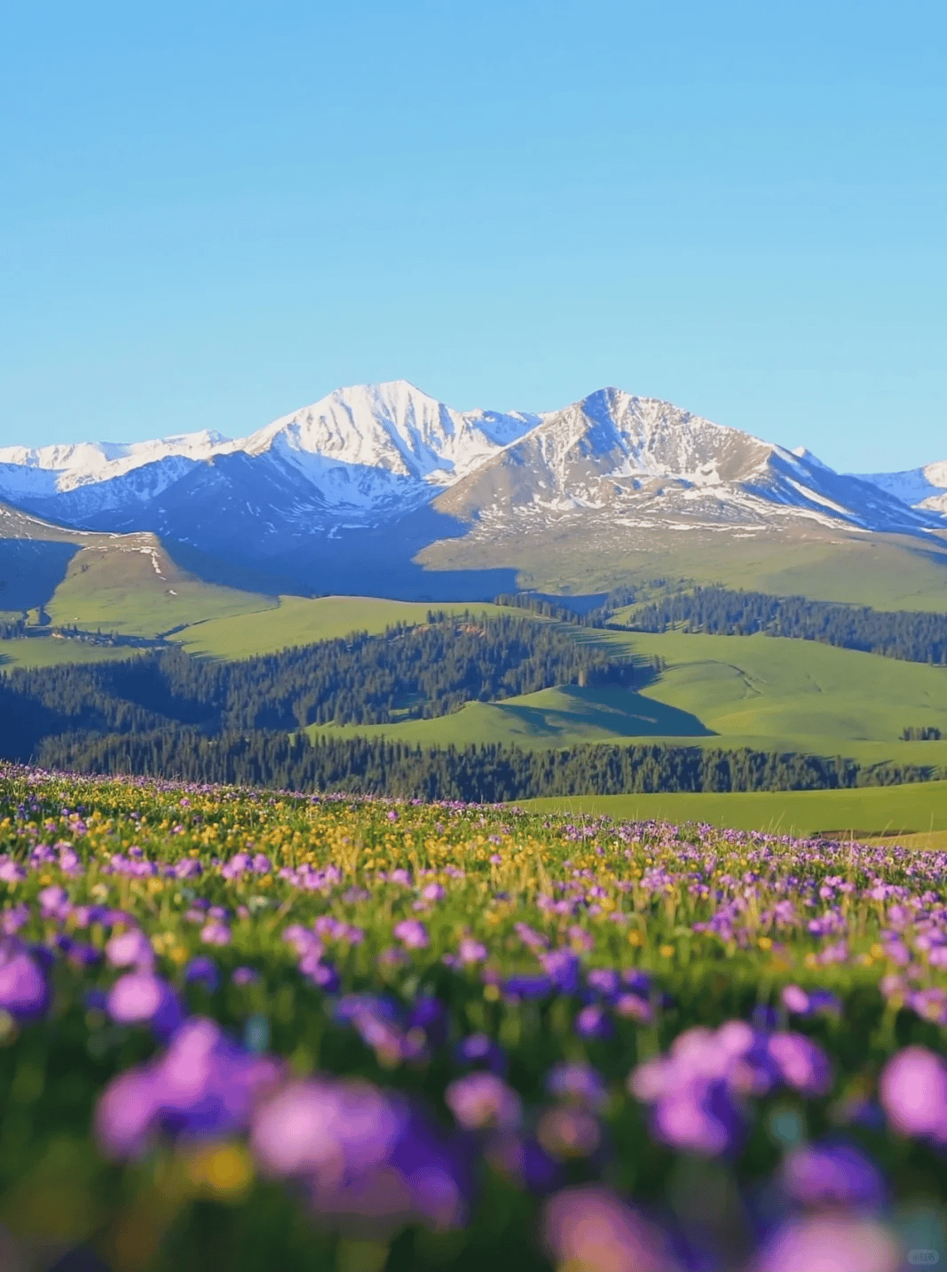 10D8N Scenery of Southern Xinjiang and Western Regions