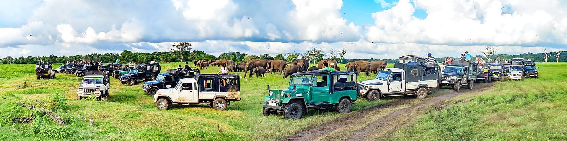 🌍 Africa