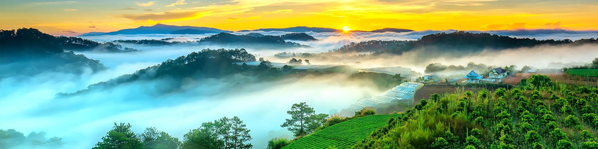 🇻🇳 Vietnam