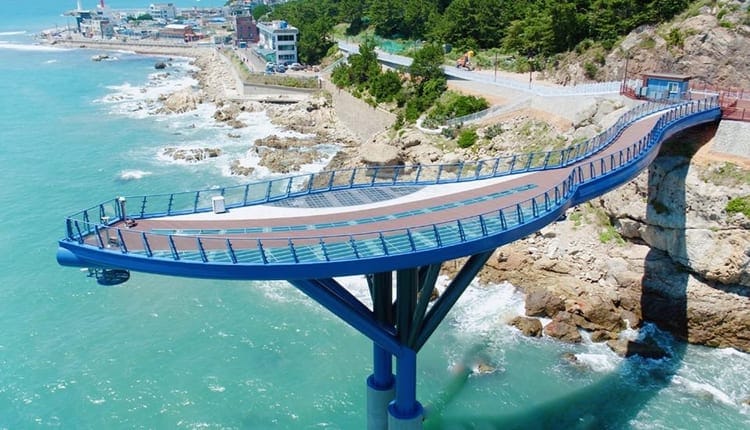 8D6N Busan + Jeju + Seoul Korean Must Eat Food Tour